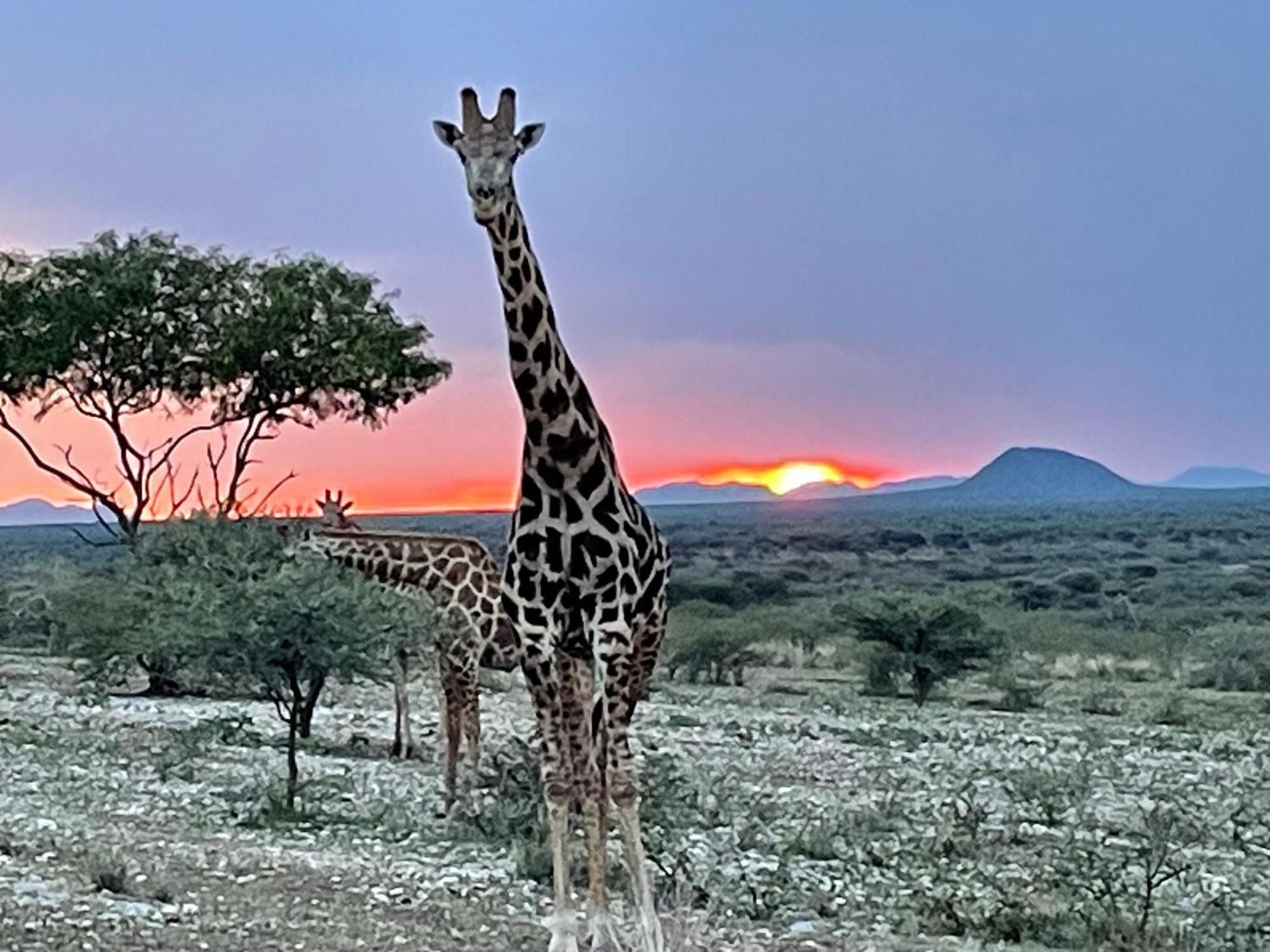 Aloegrove Safari Lodge 奥奇瓦龙戈 外观 照片
